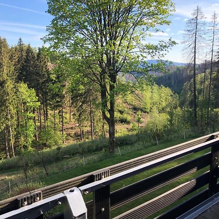 Fewo Nartura: Modern - Idyllisch - Stilvoll - Ruhig Sankt Andreasberg Esterno foto
