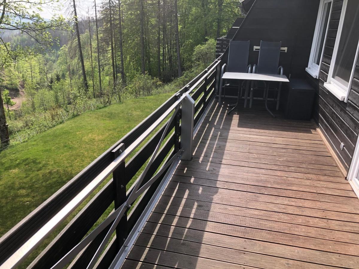 Fewo Nartura: Modern - Idyllisch - Stilvoll - Ruhig Sankt Andreasberg Esterno foto