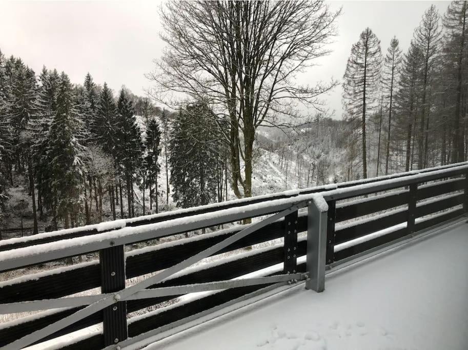 Fewo Nartura: Modern - Idyllisch - Stilvoll - Ruhig Sankt Andreasberg Esterno foto
